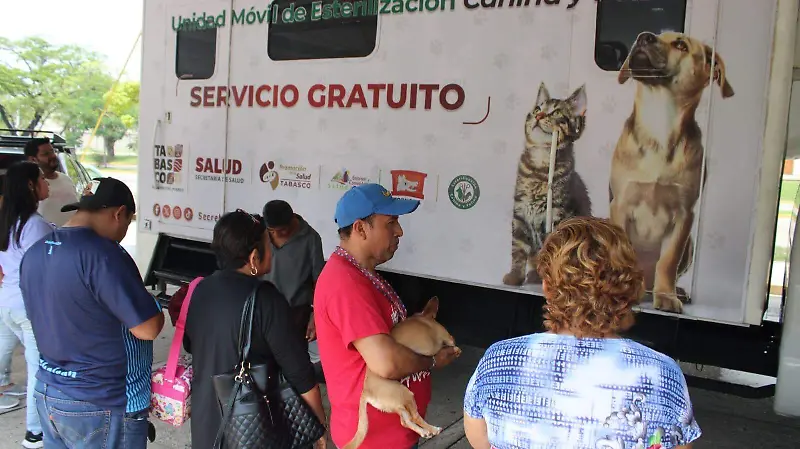 campaña esterilizacion animal capu.jpeg